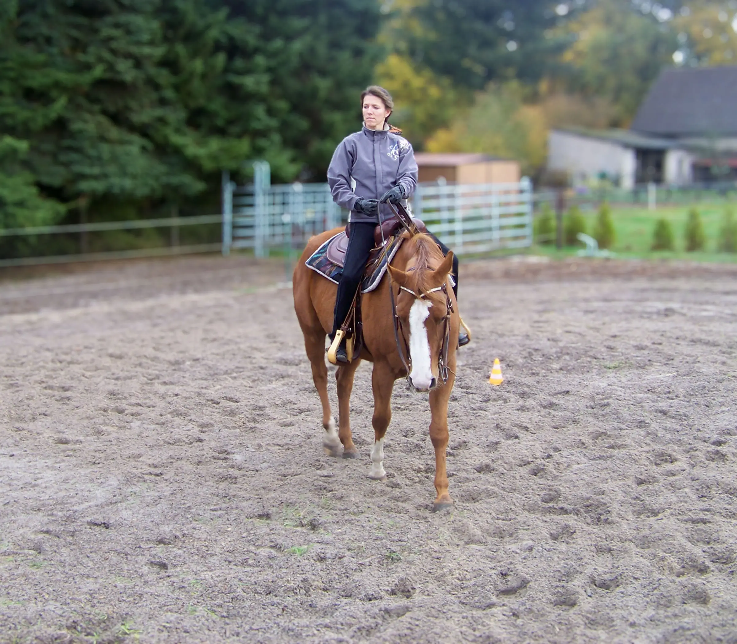 Gymnastizierendes Reiten, Stellung und Biegung