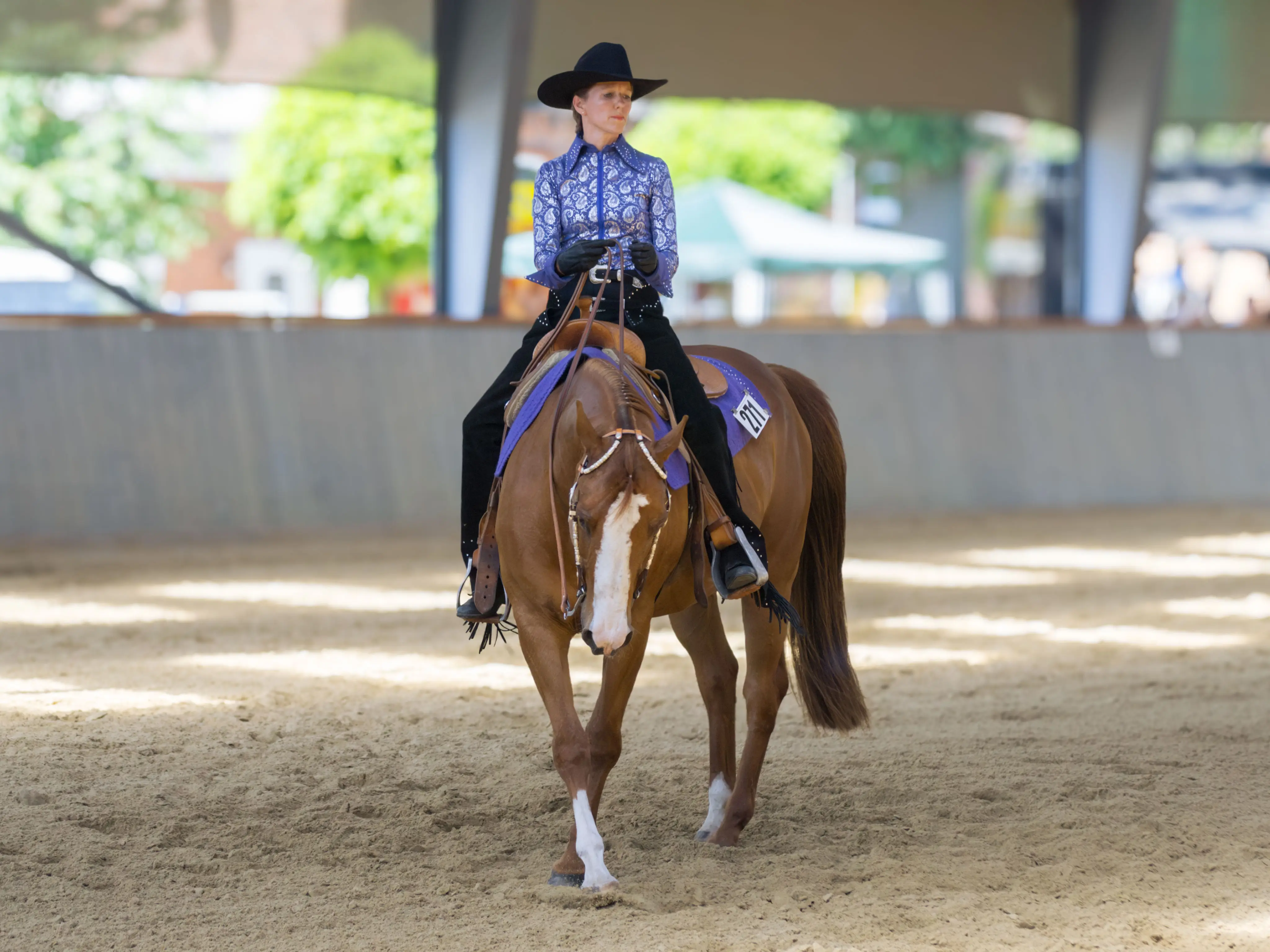 Quarter-Horse Wallach beim Spin